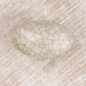Porzellanknopf Ella Draufsicht